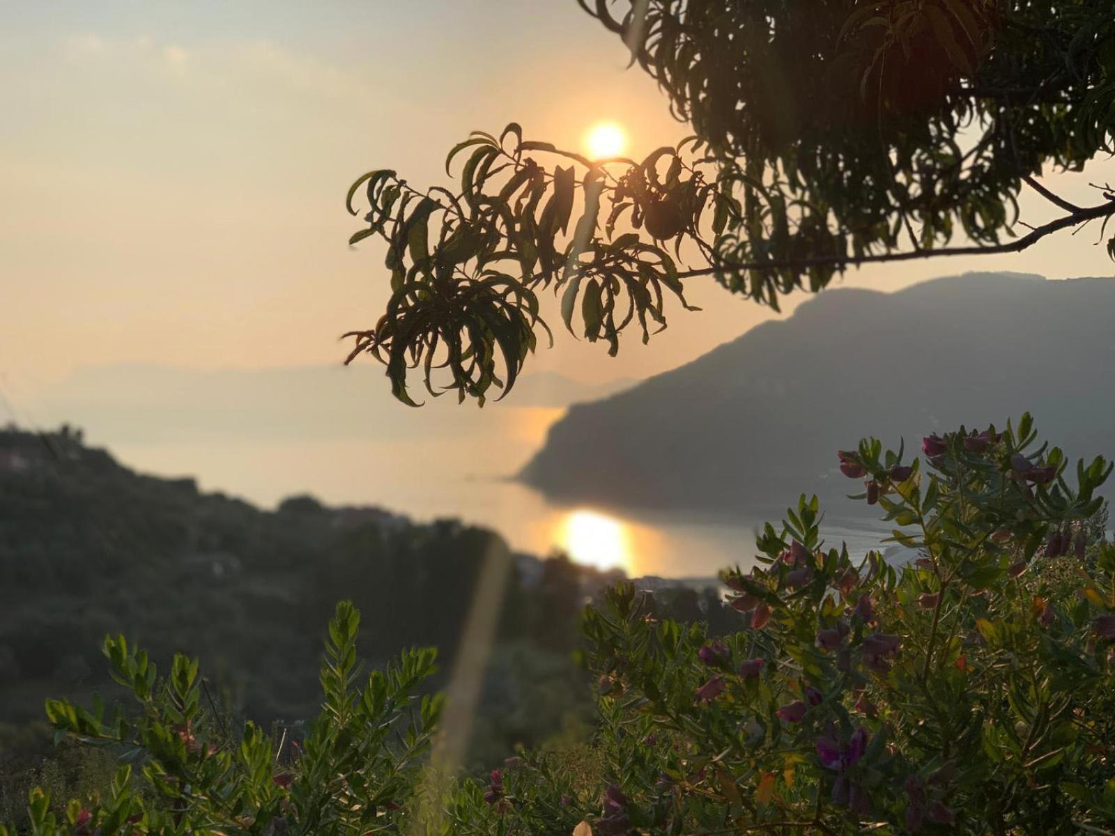 Romantic Lemonia Cottage Skopelos stad Exteriör bild